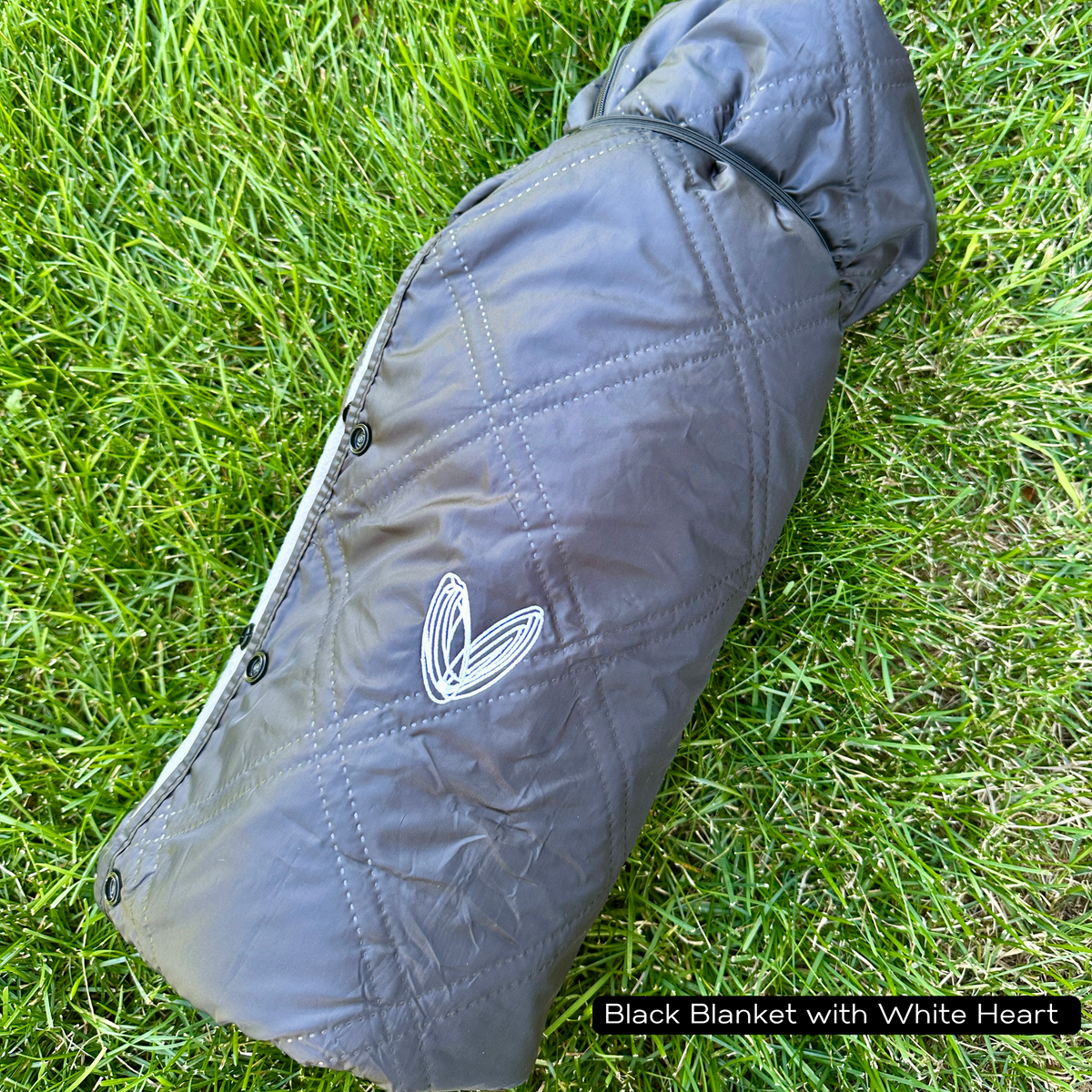 Stadium Blanket